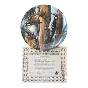 The Downy Woodpecker Birds Of Your Garden Collection Collectible Plate